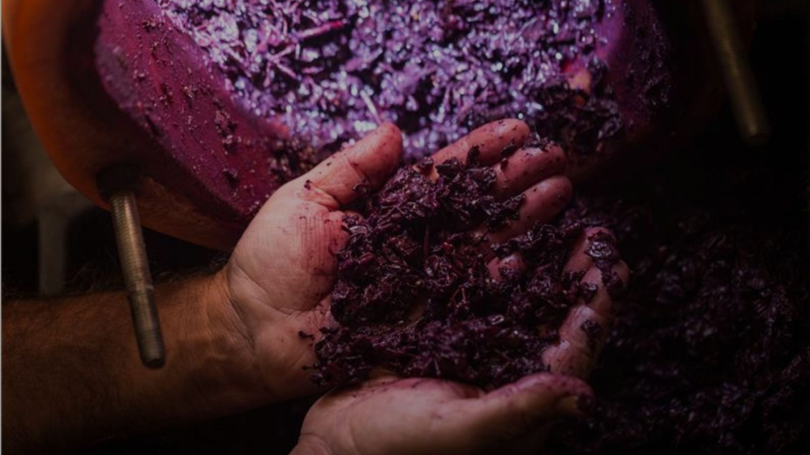 ¡Innovación con aroma a vino! Viña Concha y Toro junto a HUBTEC lanzan ReWine, convocatoria para transformar la industria vitivinícola