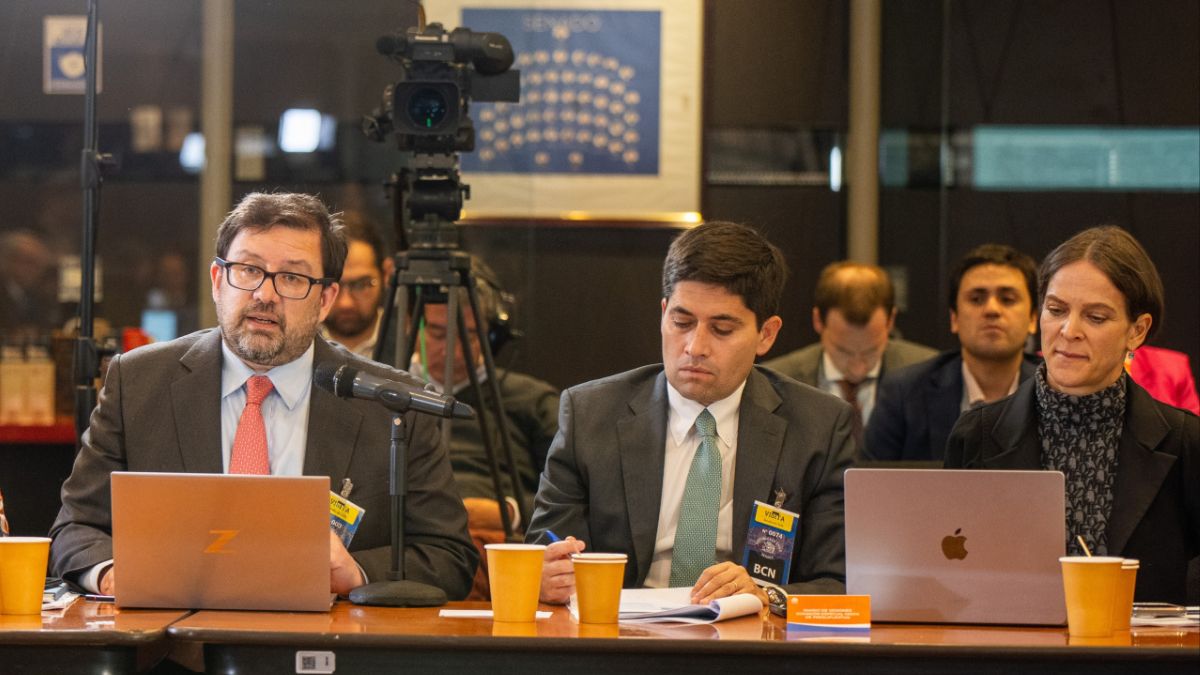 Consejo Fiscal Autónomo califica como 