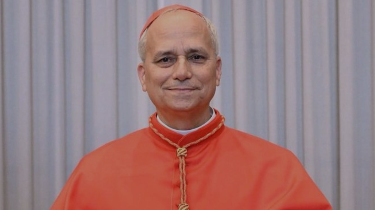 Milei y Donald Trump destacan al papa León XIV: 