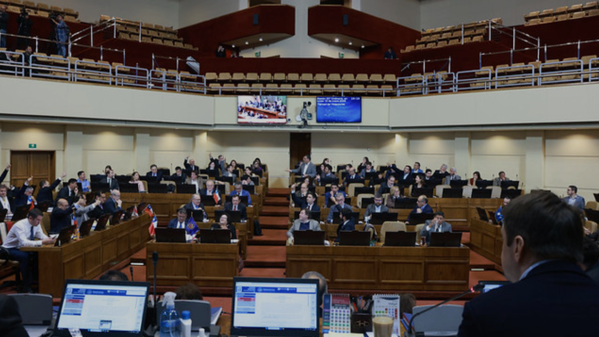Con rechazo transversal: Reglas del Uso de la Fuerza (RUF) pasa a la Comisión Mixta