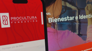 Por qué ex funcionarios de ProCultura acusan a la fundación de la muerte de testigo clave