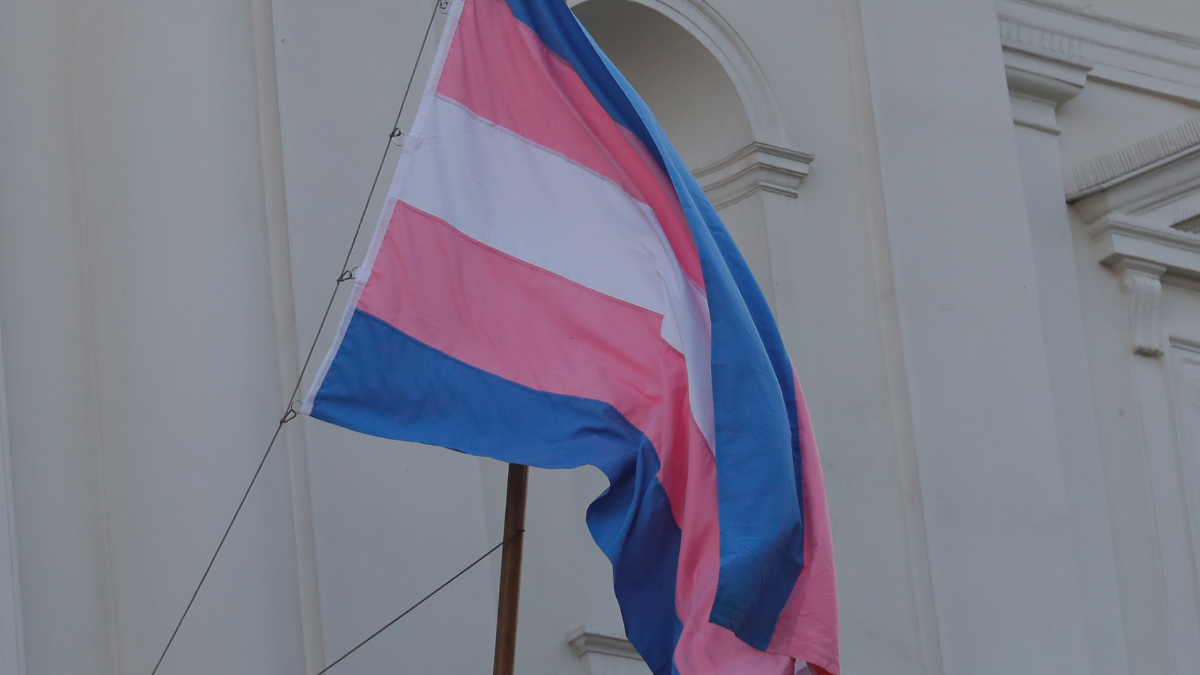 Defensoría de la Niñez e informe parlamentario contra apoyo a niños trans: 
