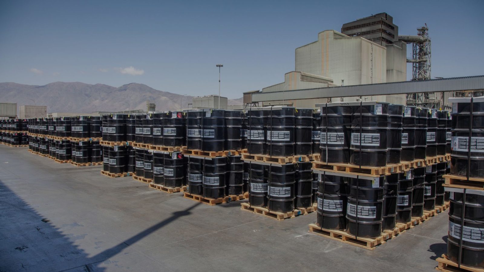 Más allá del cobre, Codelco suma una cartera de subproductos que implicaron ingresos por más de US$1.350 millones en 2024