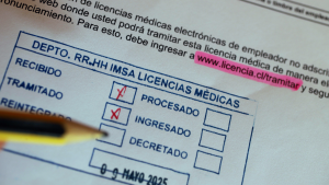 Son más de 700: las 50 instituciones públicas con más casos de licencias médicas irregulares