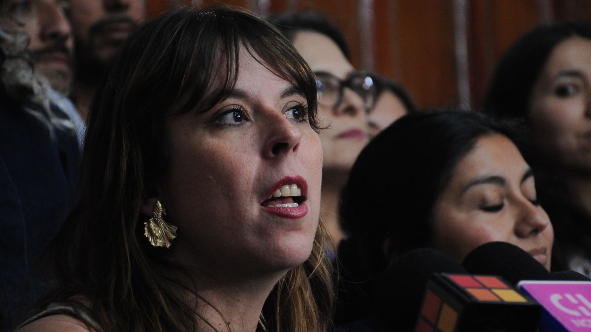 Palabras cruzadas en el FA por ProCultura: Martínez y Winter se entrampan en discusión sobre
