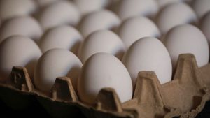 Huevos frescos