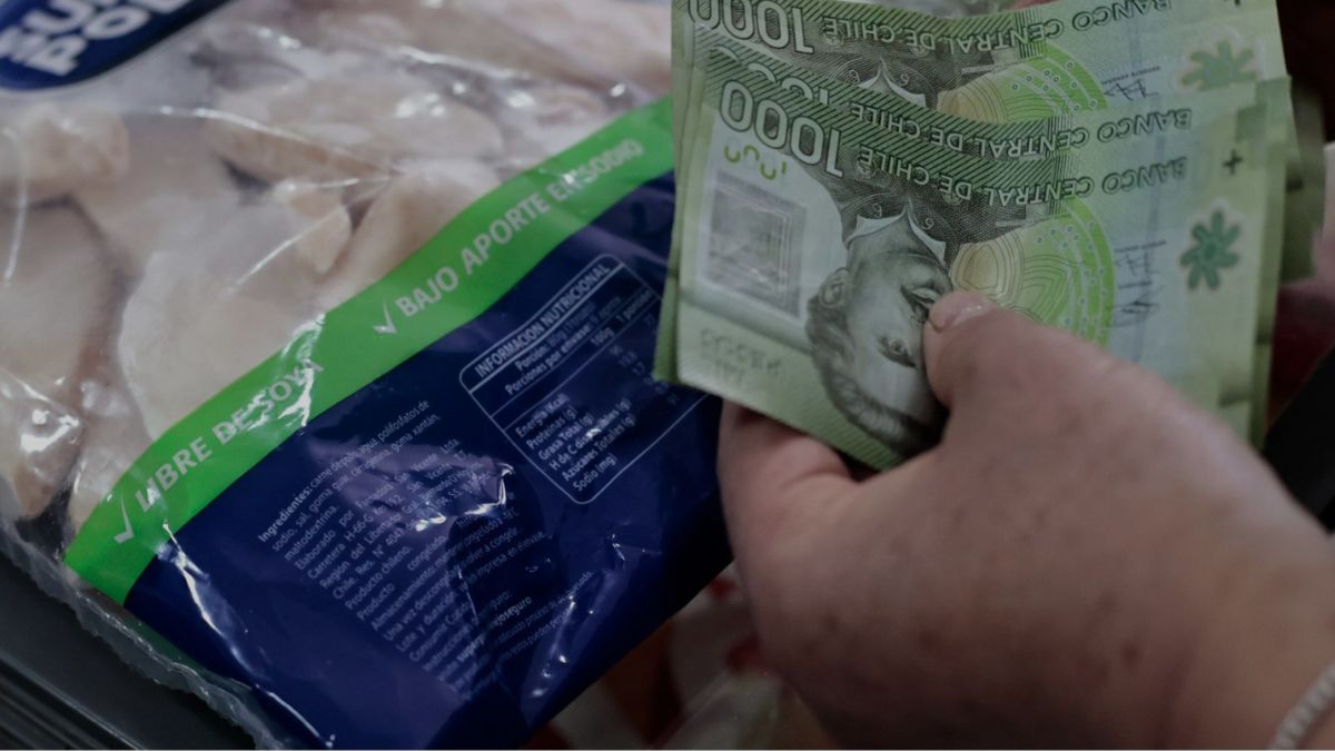 Colusión de los pollos se reactiva: comienzan cálculos para determinar indemnización a los consumidores
