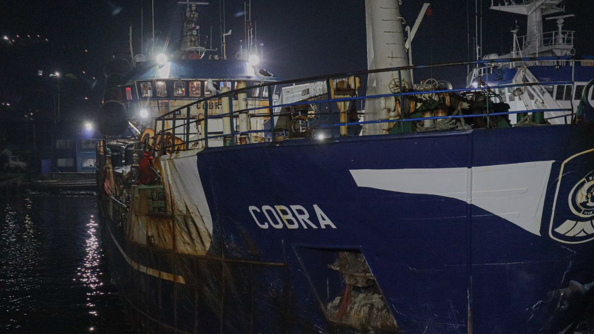 Comienzan peritajes a Cobra en dique seco: se buscan restos biológicos