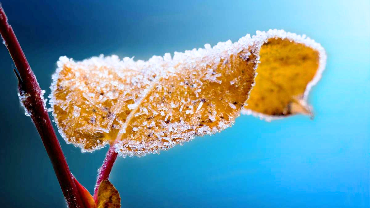 ¿Cuándo comienza el invierno en Chile?