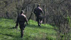 Todo lo que se sabe del caso de las niñas desaparecidas en Toltén
