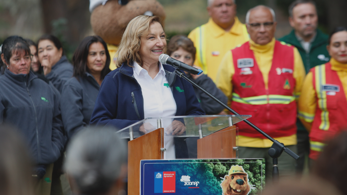 La denuncia por Ley Karin que gatilló la salida de Aída Baldini de la dirección de Conaf