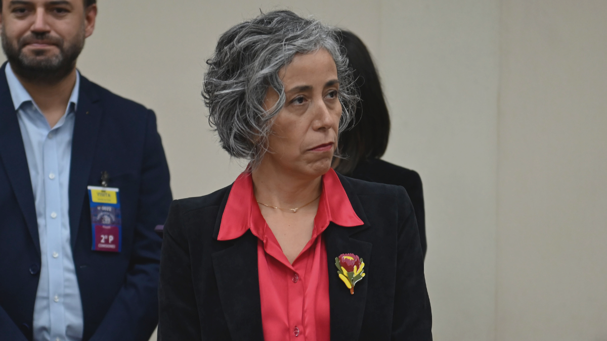 Caso Licencias Médicas provoca la salida de Pamela Gana de Suseso