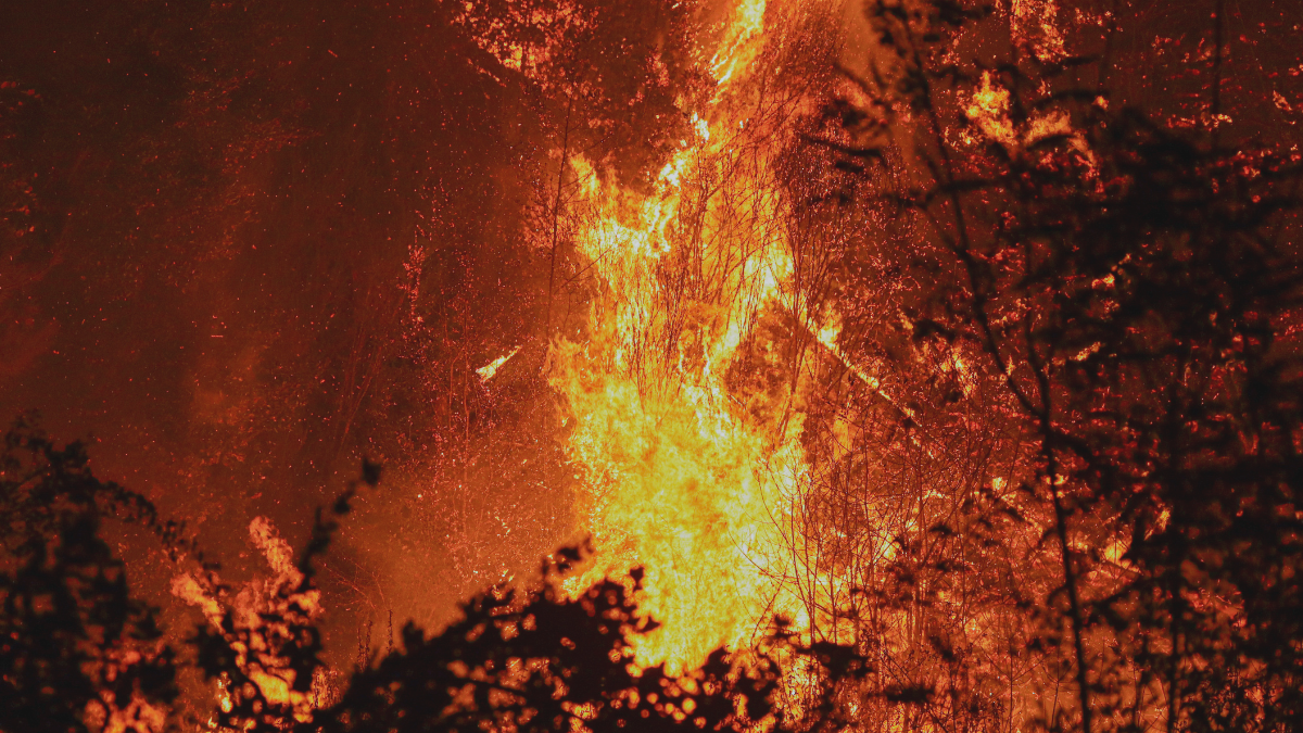 Nueva ley de prevención de incendios forestales y rurales: La importancia de legislar ahora