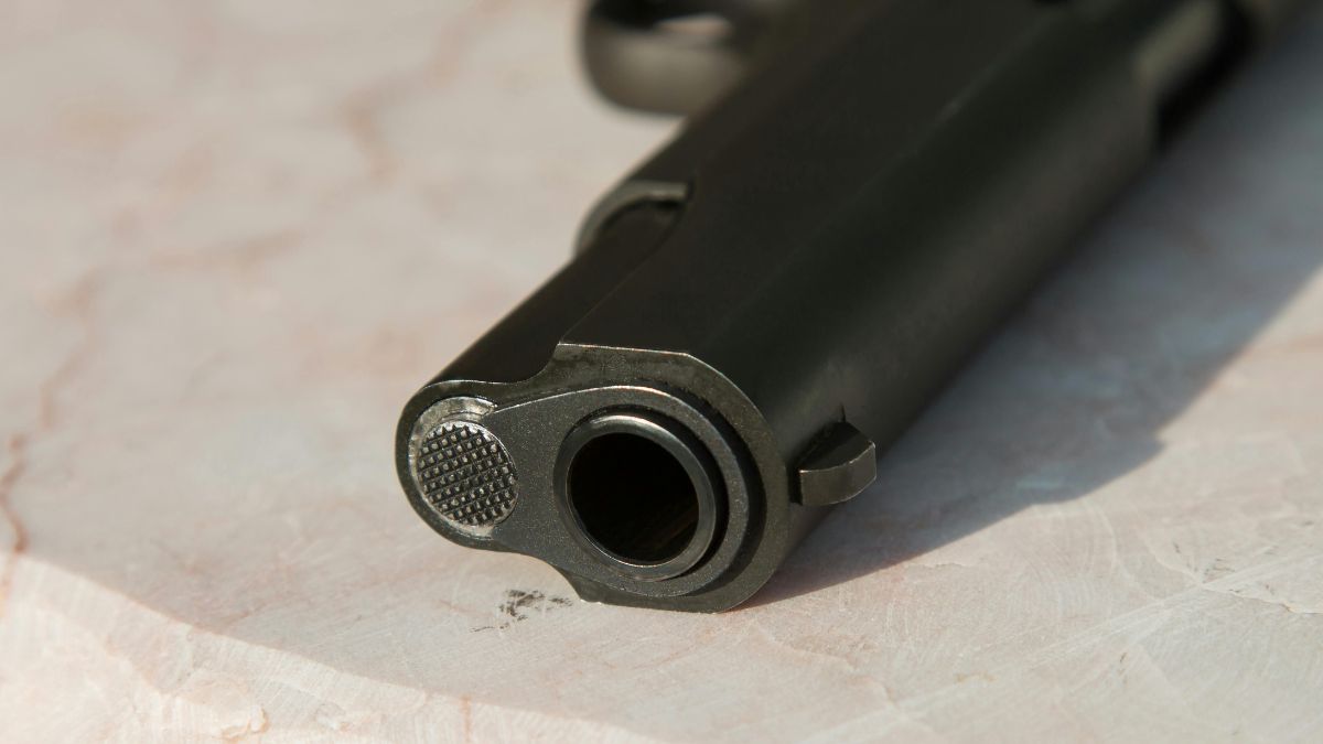 El problema de armas que enfrenta Austria tras matanza en escuela: es uno de los países europeos con mayor tenencia