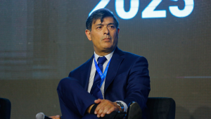 ¿Qué es una precandidatura presidencial?: Parisi descartó esta opción y criticó duramente a Matthei