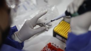 Incluye fuga en un laboratorio: las hipótesis de la OMS sobre el origen del COVID-19