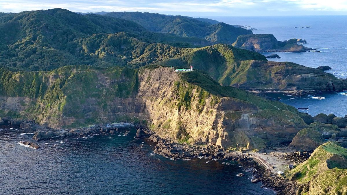 La isla de Chiloé que compró ONG vinculada a Leonardo DiCaprio: buscan convertirla en parque nacional