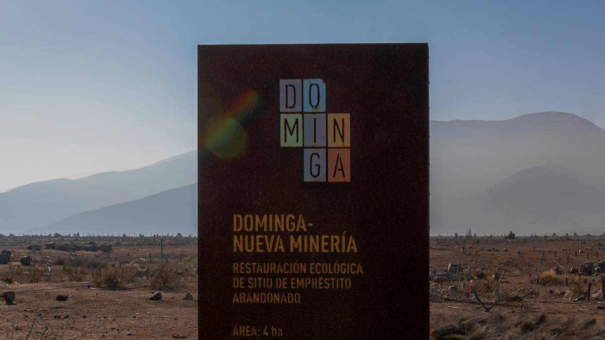 TC asesta duro golpe al Comité de Ministros y da luz verde al proyecto Dominga