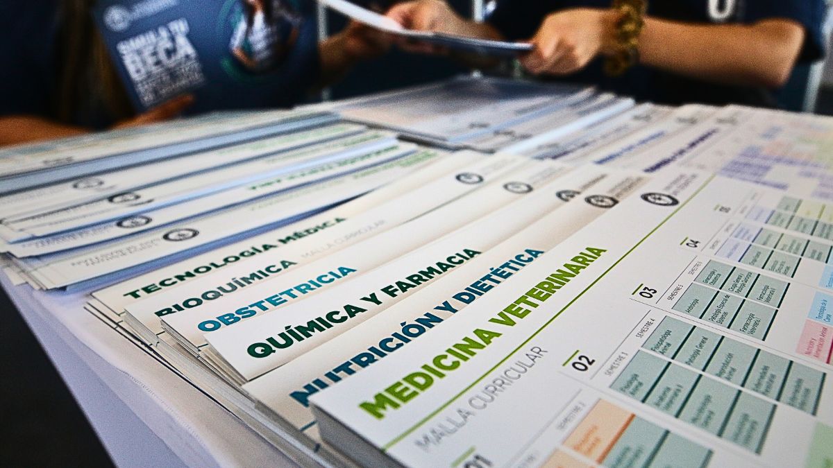 FUAS 2025: cuándo se conocerán los resultados de la apelación por la gratuidad