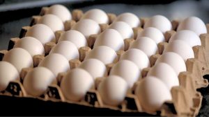 IPC de mayo llegó 0,2%: los productos que más subieron de precio