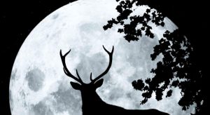 Cuándo observar la Luna de Ciervo 2025 en  Chile
