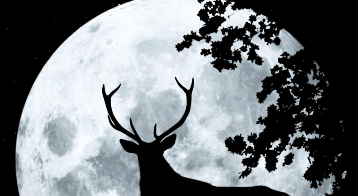 Cuándo observar la Luna de Ciervo 2025 en  Chile