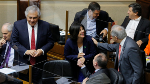 No va: senadores RN dan pie atrás a la idea de presentar denuncia por campaña “sucia”