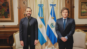 Gobiernos mononeuronales