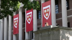 Luego de cuestionamientos de Trump: Harvard cerrará sus oficinas de diversidad