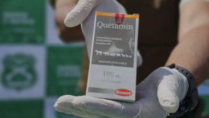 Negocio criminal en expansión: incautaciones de ketamina se triplicaron en el norte de Chile