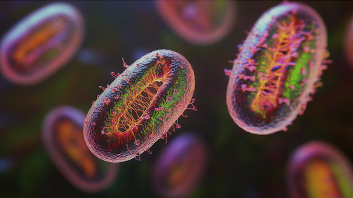 Qué es la listeria y cuáles son sus peligros: Minsal emitió nueva alerta sanitaria