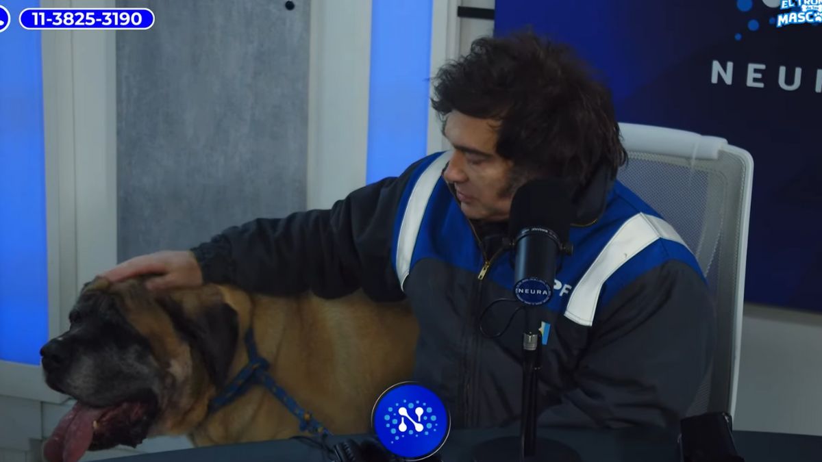 Javier Milei y Conan: el curioso caso del perro clonado por el mandatario