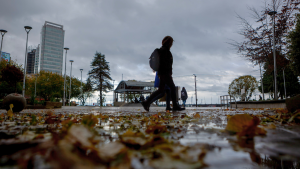 Con ráfagas de hasta 100 km/h: las regiones que se verán afectadas por fuertes vientos esta semana