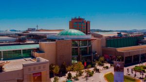 Gaviotas, fósiles y tacos: las inusuales condiciones que enfrenta la ampliación de Mall Plaza El Trébol