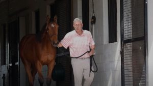 Haras Don Alberto celebra sus millonarios triunfos y anuncia gran remate de caballos de fina sangre