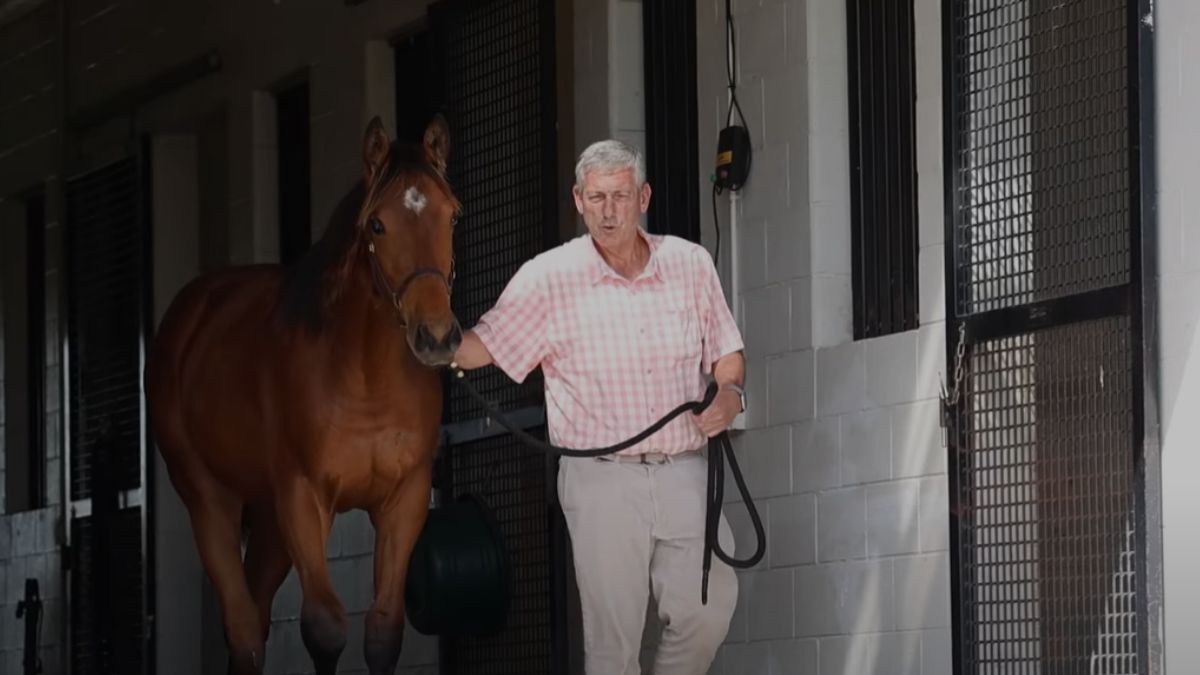Haras Don Alberto celebra sus millonarios triunfos y anuncia gran remate de caballos de fina sangre