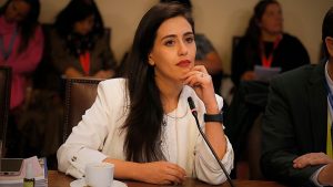 El fuego amigo de Ripamonti: apunta al Minvu por lenta reconstrucción y envía recado al ministro Montes