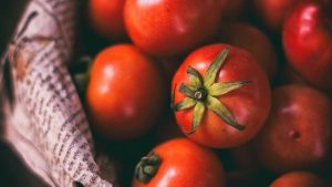 El dilema de los tomates y Trump: Estados Unidos impone aranceles del 17% a productos mexicanos