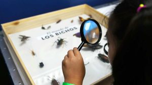 Cinco panoramas gratis para celebrar este Día del Niño en Santiago