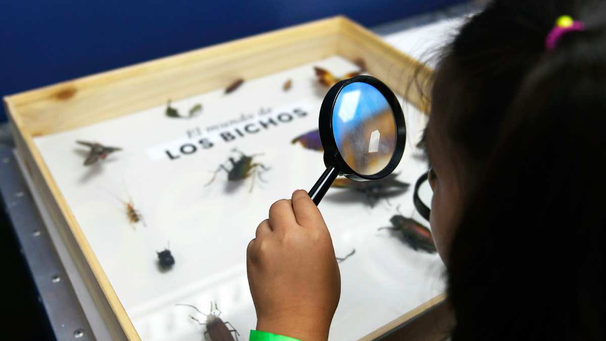 Cinco panoramas gratis para celebrar este Día del Niño en Santiago