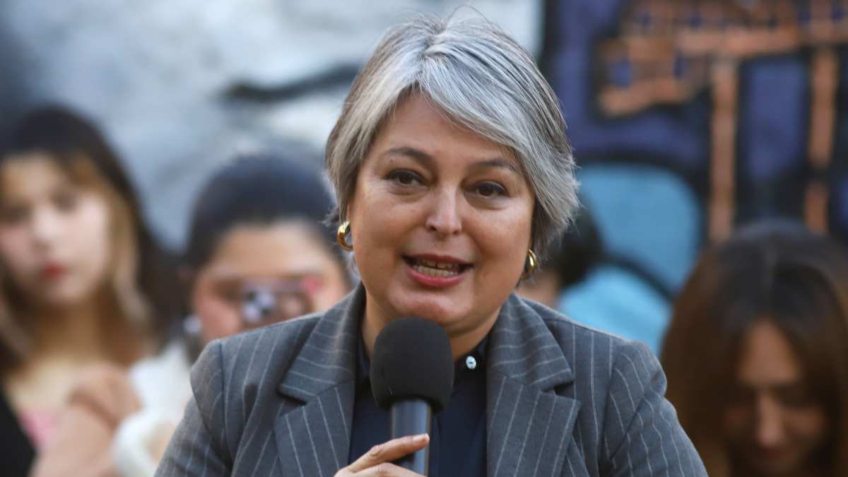 Decisión de apoyar a Jara le cuesta caro a la DC: fue suspendida por la OCDA