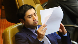 Golpe a Demócratas: Calisto aceptó competir en la lista oficialista del FREVS como senador por Aysén