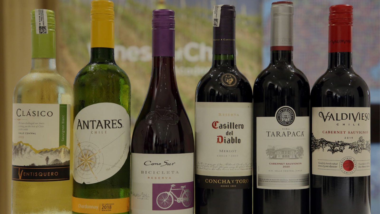 Vino chileno, un éxito de exportación y prestigio