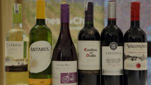 Vino chileno, un éxito de exportación y prestigio