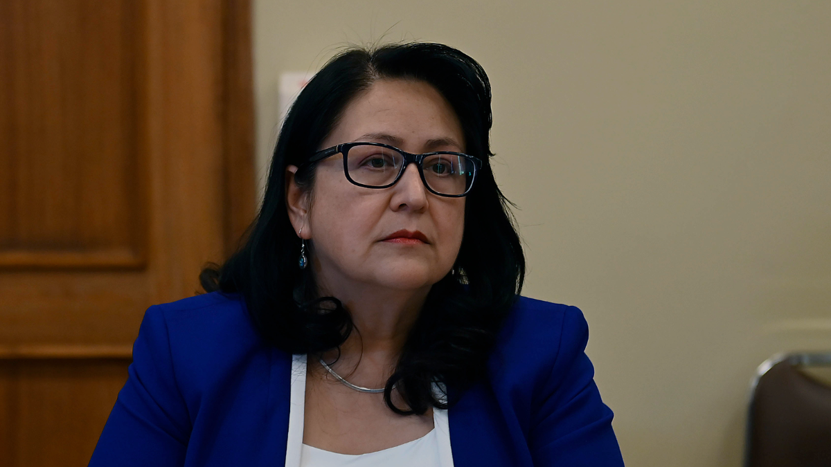 Tras análisis de Contraloría y la PDI: aumentarán las medidas de seguridad para Dorothy Pérez