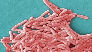 Qué es la Legionelosis, enfermedad que tiene a Nueva York en alerta