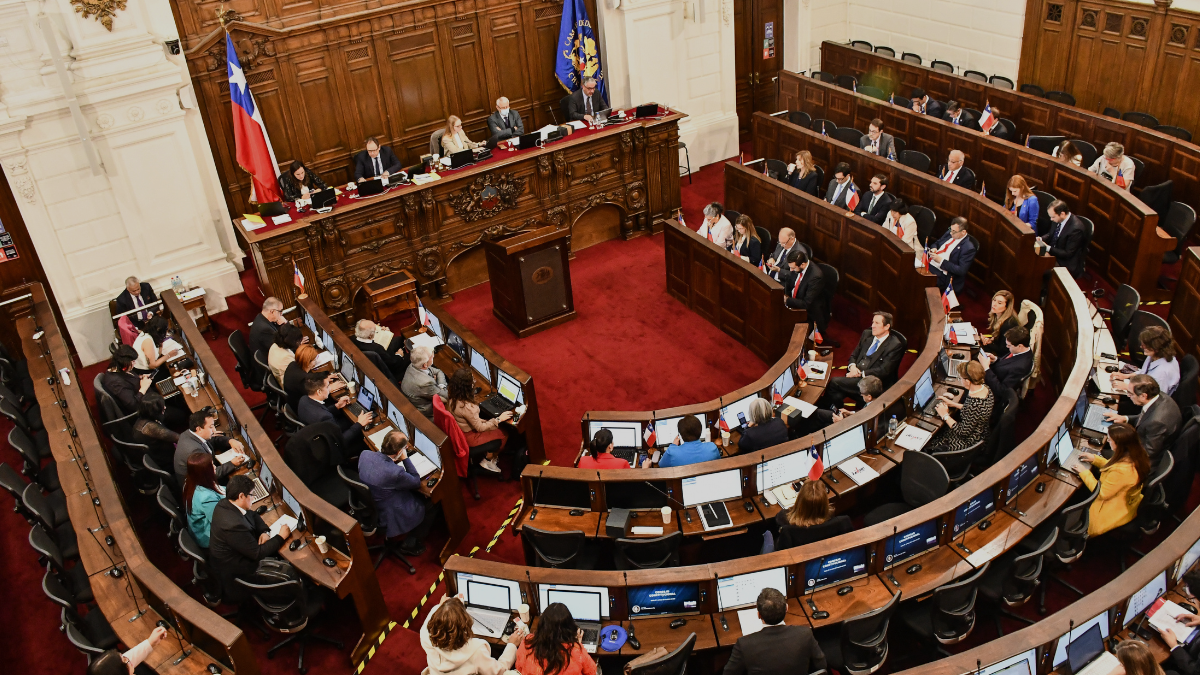 Acogieron querella en su contra: quiénes son los diputados que salieron de Chile en semana distrital
