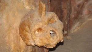El misterio de la calavera encontrada en Grecia: no es humana ni neandertal y tiene 300.000 años de antigüedad
