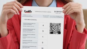 Director nacional del Trabajo y dictamen por Cualiffy: 