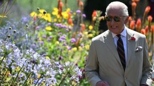 Desde un oso de peluche a elegante gabardina: la exclusiva línea de productos lanzada por el Rey Carlos III